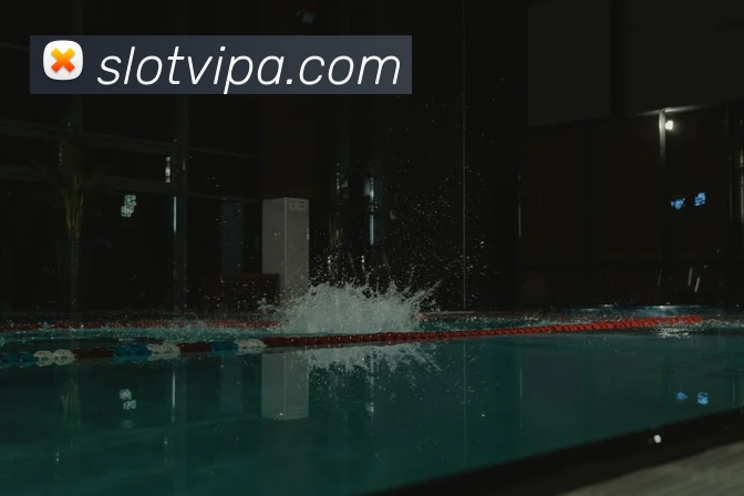 pa真人视讯平台生态图