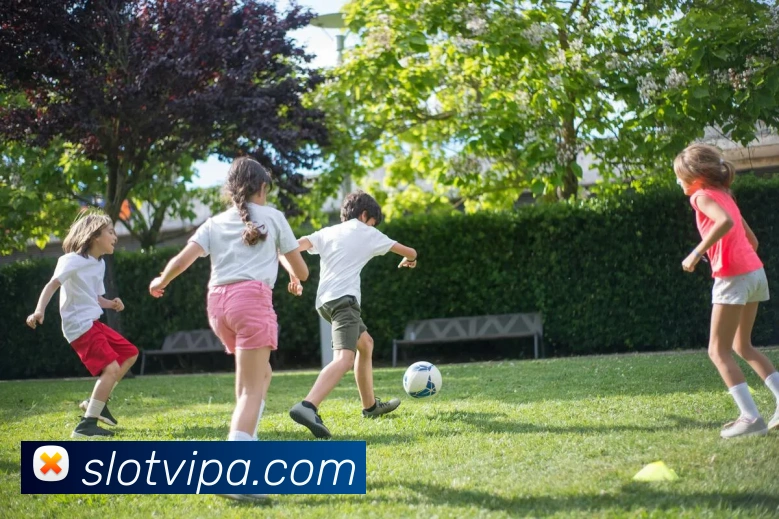 pa真人视讯全站App